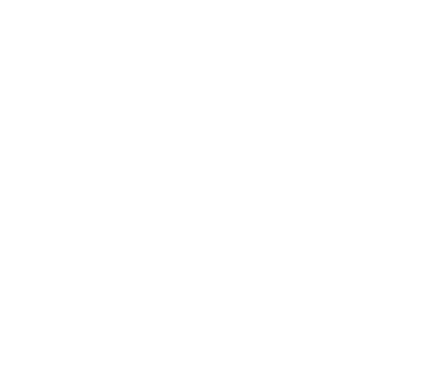 نادر ایرانیان